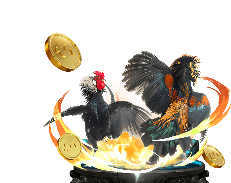 Cá cược thể thao Hi88 với đa dạng bộ môn và tỷ lệ cược.